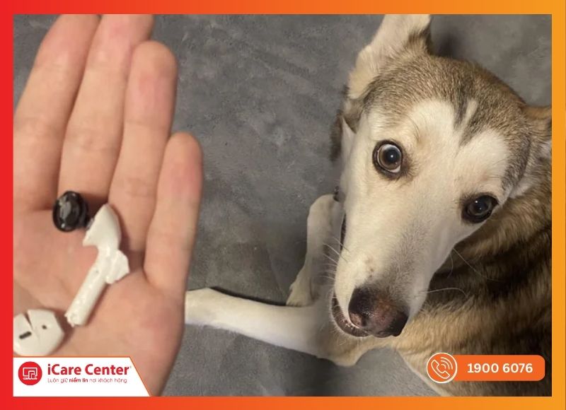 Vỏ tai nghe AirPods 1 bị hỏng do thú cưng cắn