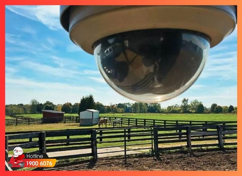 Lắp đặt camera giám sát Phường Long Phước cho trang trại và cơ sở chăn nuôi