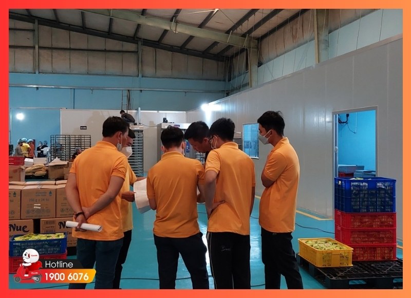 Thi công điện mạng văn phòng-iCare60 #6