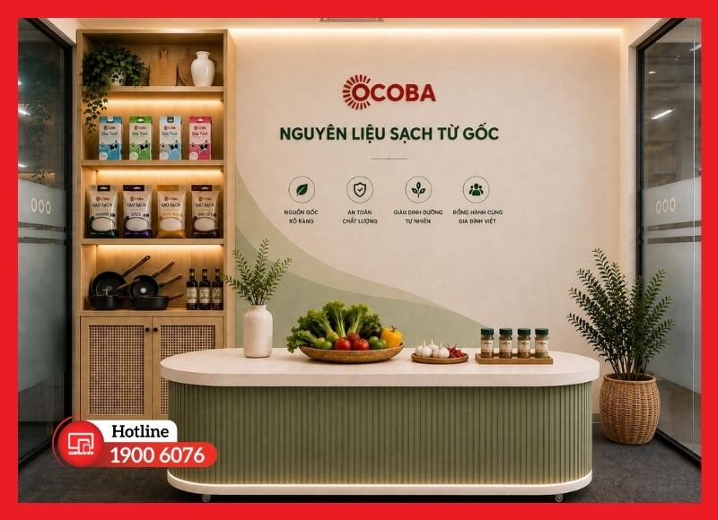 Phông nền decor cố định
